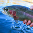 0dOG5Brnrvs-channel-avatar-How To Fish