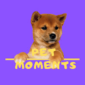 Pet Moments