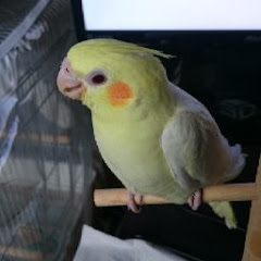 大久保