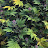 @stephenie772 Avatar
