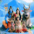 @skvideoraj2627 Avatar