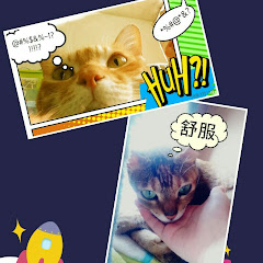 月亮》《アイコン画像