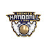 -e7kJoImA1w-channel-avatar-Premier Handball League