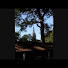 ijcpYWfZ3qI-channel-avatar-renaissance27