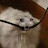 @j000bz's avatar