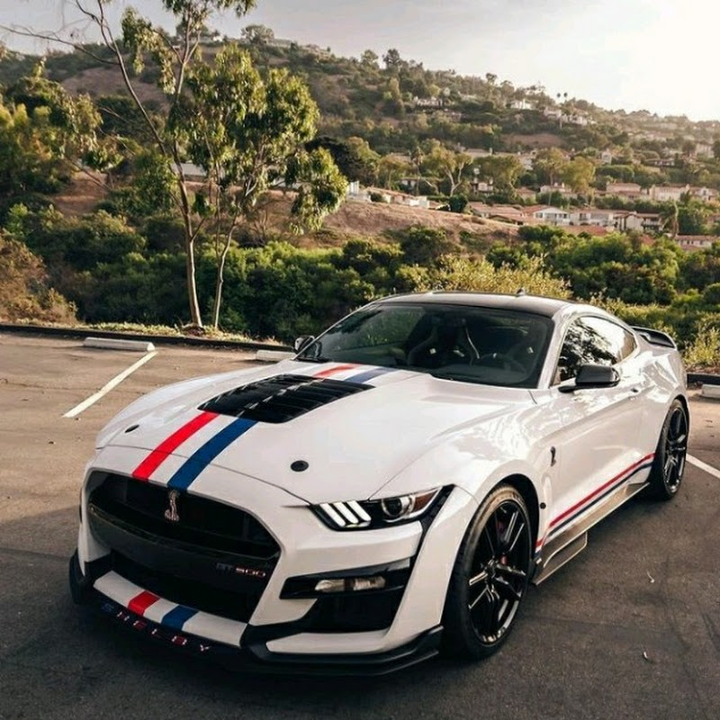 Luxury cars daily