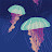 @dicerkun's avatar