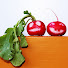 sVZH5iNa9JA-channel-avatar-Da Kine Garden Stuff (with Karen)