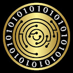 Coin Bureau Net Worth