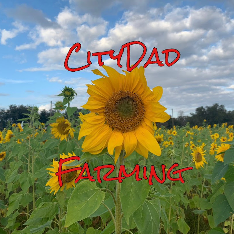 CityDad Farming