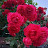@소소한일상-u5i