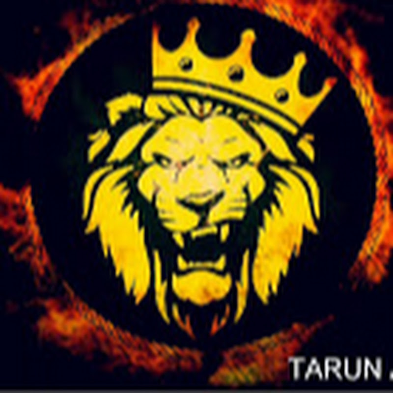 Lion GT Gaming 2