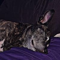 Logan profile image