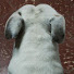 m9ckhssV2P4-channel-avatar-Míriam. v