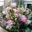 @flowersunny1736