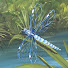 JNdHCo78LKk-channel-avatar-Tecniarte