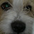 @franzc1656 Avatar