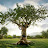 @MrTubale's avatar