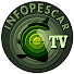 8xm34rmVo2c-channel-avatar-InfoPescar
