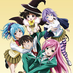 Rosario † Vampire: The Anime