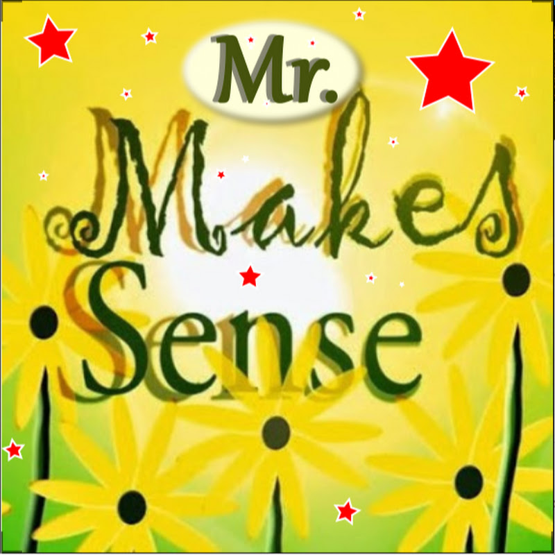 MisterMakesSense