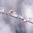 u8N_3D_iZPg-channel-avatar-14line