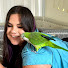 i0gqbnK83zM-channel-avatar-flockparty