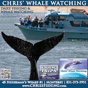 Chris Fishing and Whale Watching