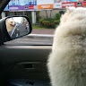 Автор