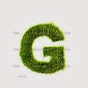 Green Dizajn