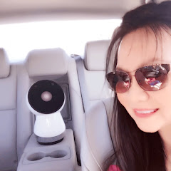 Ms. Robot net worth