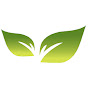 LUSHlife logo