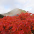 TBPsxfI13Zw-channel-avatar-Masashi T