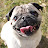 youtube avatar