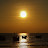 @riadhasan6074 Avatar