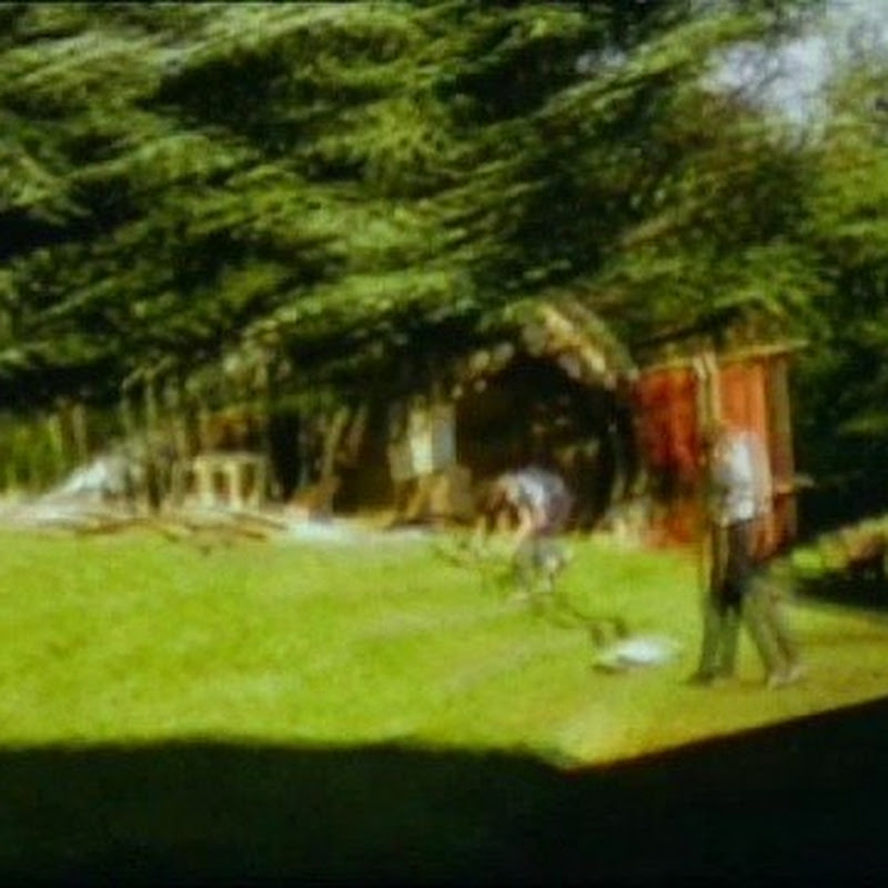 tattwood833