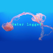 Water Logged