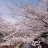 @user-rz7nz5dn3x
