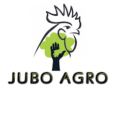 Jubo Agro net worth