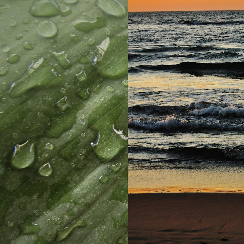 Rain, Thunder and Nature Sounds