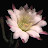@Hybridog Avatar