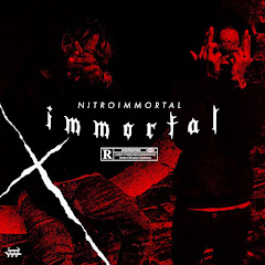 Nitro Immortal net worth