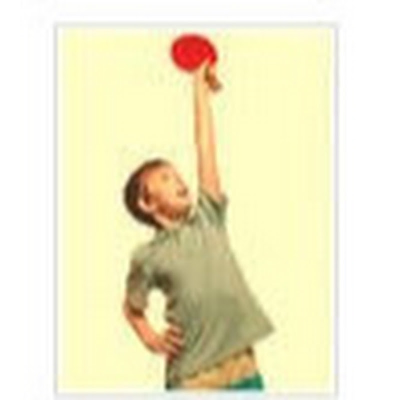 Настольный теннис Шиповик Logo