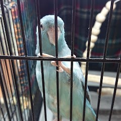 k-suke zeroアイコン画像