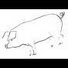 t2KKbMbmwso-channel-avatar-homegrownireland