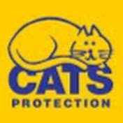 Cats Protection Forth Valley AC