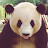 @Donly1pt's avatar