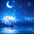MPTQ96IaqF0-channel-avatar-The Lotus Heart