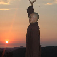 Qigong Meditation Avatar