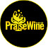 fGhxvXjDi08-channel-avatar-Praisewine International